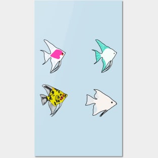 Angelfish Posters and Art